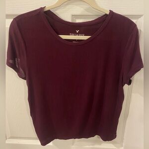 American Eagle Outfitters Deep Burgundy Short Sleeve Cropped Tee